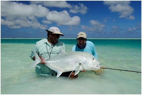 Kanton Trevally Fish