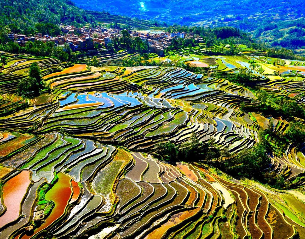 Hani-Rice-Terraces